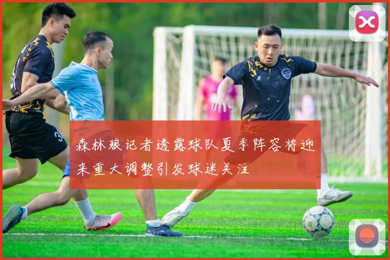 森林狼记者透露球队夏季阵容将迎来重大调整引发球迷关注