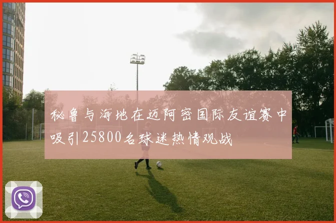 秘鲁与海地在迈阿密国际友谊赛中吸引25800名球迷热情观战